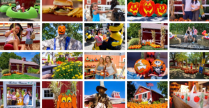 Collage of fall activities and attractions at Sonny Acres Farm, including pumpkin picking, rides, and seasonal treats.